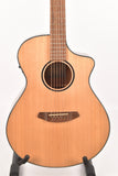 Breedlove Discovery S Concert CE